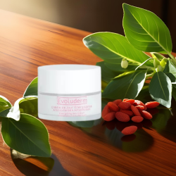 Crème de jour énergisante antioxydante & anti-pollution