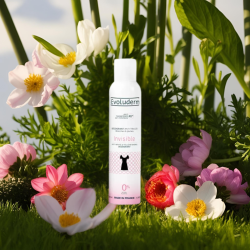 Déodorant anti-transpirant 48H anti-traces blanches & jaunes invisibles